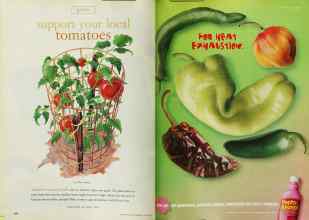 Better Homes & Gardens June 1999 Magazine Article: Page 164