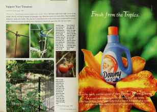 Better Homes & Gardens June 1999 Magazine Article: Page 166