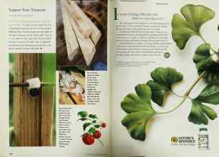 Better Homes & Gardens June 1999 Magazine Article: Page 168