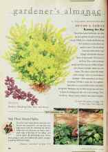 Better Homes & Gardens July 1999 Magazine Article: TEST GARDEN TIP