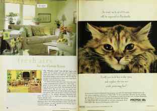 Better Homes & Gardens July 1999 Magazine Article: Page 68