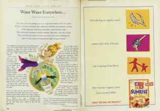 Better Homes & Gardens July 1999 Magazine Article: Page 106