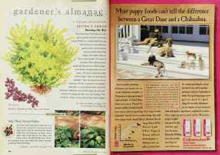 Better Homes & Gardens July 1999 Magazine Article: Page 130