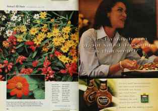 Better Homes & Gardens July 1999 Magazine Article: Page 140