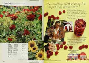 Better Homes & Gardens July 1999 Magazine Article: Page 142