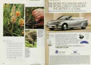 Better Homes & Gardens July 1999 Magazine Article: Page 154