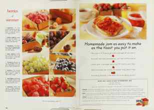 Better Homes & Gardens July 1999 Magazine Article: Page 198