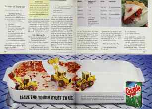 Better Homes & Gardens July 1999 Magazine Article: Page 202