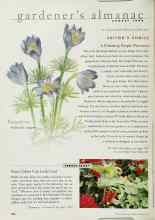 Better Homes & Gardens August 1999 Magazine Article: PERFECT PAIRS