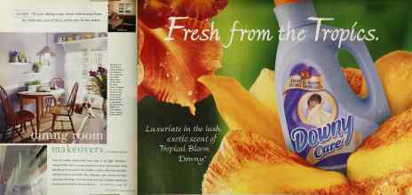 Better Homes & Gardens August 1999 Magazine Article: Page 36