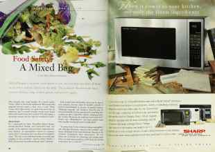 Better Homes & Gardens August 1999 Magazine Article: Page 98