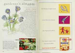 Better Homes & Gardens August 1999 Magazine Article: Page 102