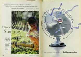 Better Homes & Gardens September 1999 Magazine Article: Page 176