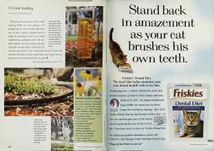 Better Homes & Gardens September 1999 Magazine Article: Page 184