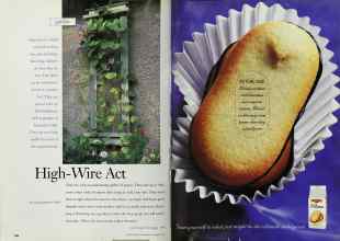 Better Homes & Gardens September 1999 Magazine Article: Page 186