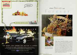 Better Homes & Gardens September 1999 Magazine Article: Page 200