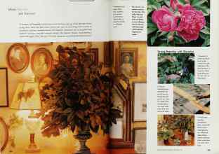 Better Homes & Gardens September 1999 Magazine Article: Page 204