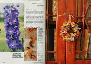 Better Homes & Gardens September 1999 Magazine Article: Page 206