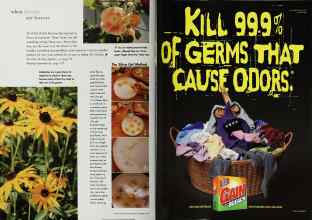 Better Homes & Gardens September 1999 Magazine Article: Page 208