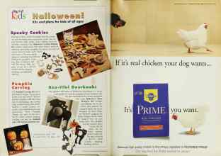 Better Homes & Gardens September 1999 Magazine Article: Page 296