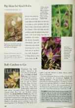 Better Homes & Gardens October 1999 Magazine Article: Bulb Gardens to Go