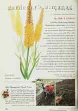 Better Homes & Gardens October 1999 Magazine Article: TEST GARDEN TIP