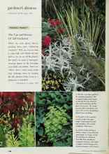 Better Homes & Gardens October 1999 Magazine Article: PERFECT PAIRS