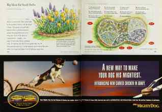 Better Homes & Gardens October 1999 Magazine Article: Page 174