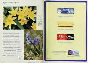 Better Homes & Gardens October 1999 Magazine Article: Page 176