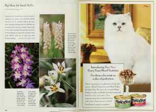 Better Homes & Gardens October 1999 Magazine Article: Page 178