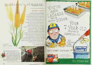 Better Homes & Gardens October 1999 Magazine Article: Page 184