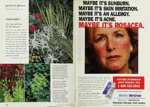 Better Homes & Gardens October 1999 Magazine Article: Page 186