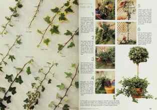 Better Homes & Gardens October 1999 Magazine Article: Page 194