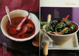 Better Homes & Gardens October 1999 Magazine Article: Page 232