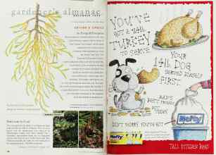 Better Homes & Gardens November 1999 Magazine Article: Page 158