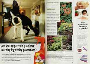 Better Homes & Gardens November 1999 Magazine Article: Page 160