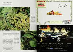 Better Homes & Gardens November 1999 Magazine Article: Page 166