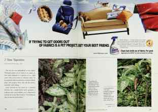 Better Homes & Gardens November 1999 Magazine Article: Page 170