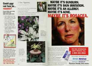 Better Homes & Gardens November 1999 Magazine Article: Page 172