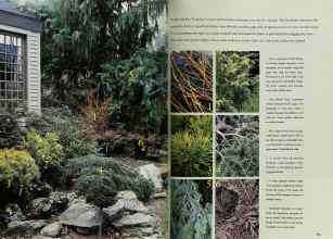 Better Homes & Gardens November 1999 Magazine Article: Page 178