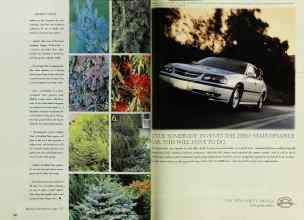 Better Homes & Gardens November 1999 Magazine Article: Page 182