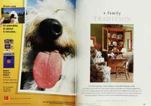 Better Homes & Gardens November 1999 Magazine Article: Page 184