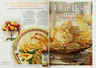 Better Homes & Gardens November 1999 Magazine Article: Page 238