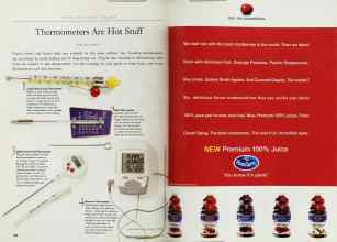 Better Homes & Gardens November 1999 Magazine Article: Page 284