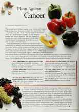 Better Homes & Gardens December 1999 Magazine Article: Plants Against Cancer