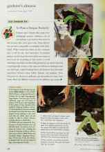 Better Homes & Gardens December 1999 Magazine Article: EDITOR'S CHOICE