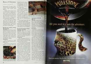 Better Homes & Gardens December 1999 Magazine Article: Page 82