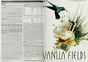 Better Homes & Gardens December 1999 Magazine Article: Page 162