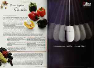 Better Homes & Gardens December 1999 Magazine Article: Page 164