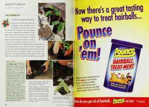 Better Homes & Gardens December 1999 Magazine Article: Page 170